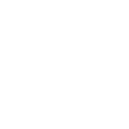VoiP phone