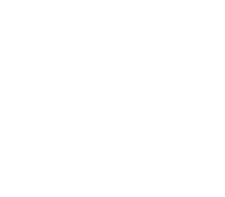 Multiple network connections